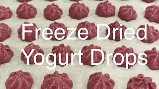 Make freeze dried yogurt drops at home [upl. by Coriss]