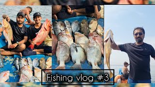 Groupers and red Snappers 100kg plus Vlog 3 fishing [upl. by Atnicaj891]