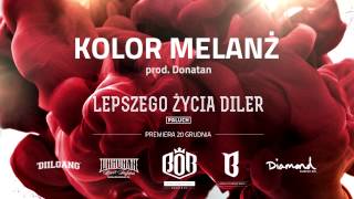 Paluch  Kolor melanż prod Donatan [upl. by Eessac]