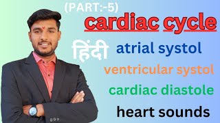 Cardiac Cycle in Hindi  Atrial Systole  Ventricular Systole  Cardiac Diastole  CV System Part5 [upl. by Arema]