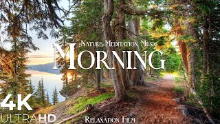 Morning Nature  Relaxation Film  Peaceful Relaxing Music  4k Video UltraHD [upl. by Chirlin953]