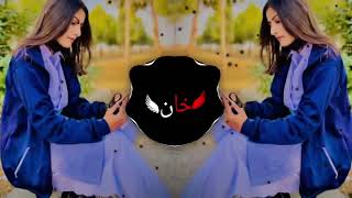 New Arabic Remix  Tiktok viral ریمیکس 2024   Slowed Reverb  New Song 2024 [upl. by Anik]