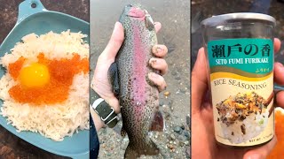 Stocked Trout EGGS Catch amp Cook BREAKFAST Rainbow Trout Catch Clean Cook [upl. by Alael]