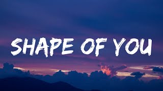 Ed Sheeran  Shape of You Lyrics [upl. by Asaert243]