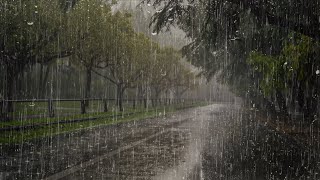 Lluvia Relajante Para Dormir y Relajarse en 3 Minutos  Ruido de Lluvia en el Hermoso Bosque Brumoso [upl. by Kirat89]