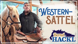 Westernsattel  Welcher Sattel passt meinem Pferd  Bernd Hackl erklärt 🐴 [upl. by Einnov803]