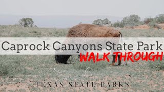 Texas State Parks  Caprock Canyons  Walk Through [upl. by Schwerin]