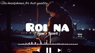 Roi Na Lofi song  SlowedReverb   ninja ‎LOFIMusic0304 [upl. by Ver]