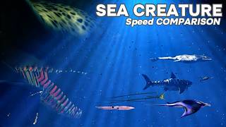 FASTEST Sea Creatures on the Planet  Speed Comparison [upl. by Nwahsd]