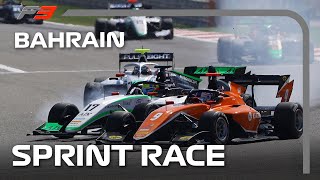 F3 Sprint Race Highlights  2024 Bahrain Grand Prix [upl. by Inor]