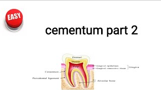 cementum part 2 [upl. by Noned]