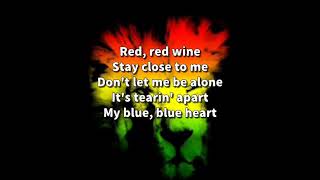 UB40  Red Red Wine Lyrics [upl. by Chon649]