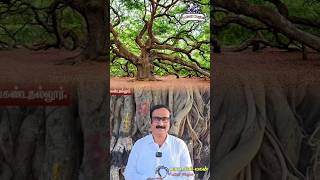 நூறாண்டு மரம் பாதுகாக்கப்பட்டதுtree natural climatechange anbumaniramadoss pasumaithayagam [upl. by Healion]