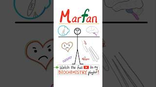 Marfan Syndrome  Genetics 🧬…science nclex mbbs usmle nurse doctor biology anatomy [upl. by Nerfe776]