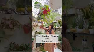 Top 10 Indoor Plants for Hanging Pots 😱🪴 gardeninglovers gardendesign gardening [upl. by Adams828]