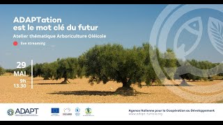 Atelier thématique arboriculture oléicole – Programme ADAPT Sfax Tunisie 2024 [upl. by Hogan]