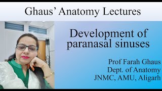 Development of paranasal sinuses [upl. by Gerc]