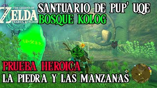 PRUEBA HEROICA  LA PIEDRA Y LAS MANZANAS  BOSQUE KOLOG  ZELDA TEARS OF THE KINGDOM [upl. by Given764]