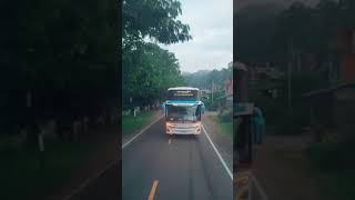 Bus perjalanan Toraja  Makassar [upl. by Izak416]