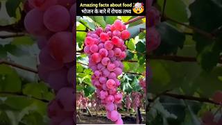 Amazing facts about food 🍎 fact in hindi amazingfacts facts shorts [upl. by Millhon]