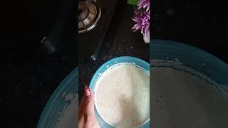 Fully veggie loded dosa 🤤shorts viral trending food gaurikitchenn [upl. by Levana]