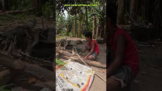 Collecting Roasted Cashew in The Philippines 🇵🇭 cashew roastednuts philippines [upl. by Burny]