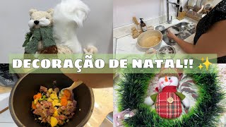 COMPRAMOS A DECORAÇÃO DE NATAL  FIZ FEIJÃO PRA SEMANA  UM ABSURDO DE CARO  MOSTREI TUDO [upl. by Carper195]