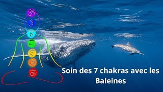 Chant guérissant des baleines avec les 7 chakras en 432hz [upl. by Gherardi]