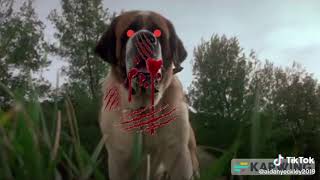 Cujo  Opening Scene Deleted Version Audio Only REUPLOADED [upl. by Publea]