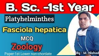 Fasciola hepatica Most Asked MCQLower nonchordateZoologyB Sc 1st Year [upl. by Anoek]