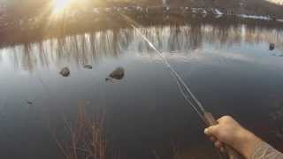 Fly Fishing for Winter Carp  Get Your Fix 1 [upl. by Flodur]