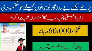 CM New Internship Program Rs25000 Monthly Stipend For Students [upl. by Convery]