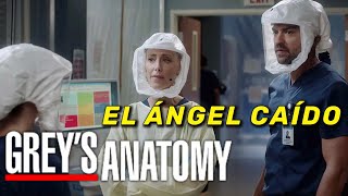 Grey’s Anatomy Temporada 17 El Ángel caído Resumen [upl. by Fiona]