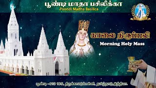 25102024  0800 AM  Holy Mass in Tamil  Fr Sebastine Cap Asstpp Poondi Madha Basilica [upl. by Piane]