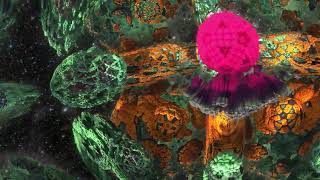 Simulated Interdimensional Travel Psychedelic Fractal Visuals 4K 60fps  Trip Simulation [upl. by Eedyaj380]