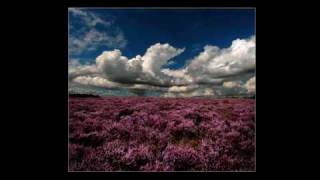 John McDermott  Wild Mountain Thyme [upl. by Adien]