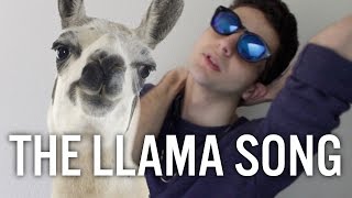 THE LLAMA SONG [upl. by Nalepka]