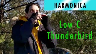 Hohner Thunderbird en C dans la foret  Ben Toury [upl. by Raviv]