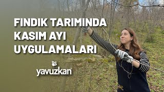 FINDIK TARIMINDA KASIM AYI UYGULAMALARI [upl. by Etat]