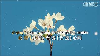 CNT Music 一剪梅  费玉清》Yi Jian Mei  Fei Yu Qing  Lyric 伴奏 动态歌词💖💖💖 [upl. by Monagan]