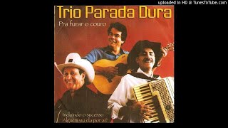 TRIO PARADA DURA O MENINO DA CANOA [upl. by Baudoin]