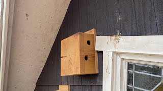 How to Make A Chickadee Condo Roosting Box [upl. by Triplett]