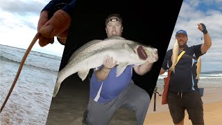 SouthCoastFishing safari camping jewfish beach worming and whiting [upl. by Anavas]