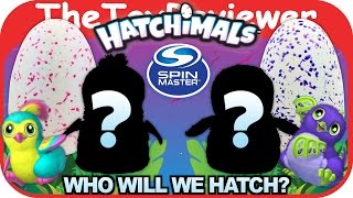 Hatchimals Eggs Penguala amp Draggle Hatching Day Spin Master Unboxing Toy Review by TheToyReviewer [upl. by Colton]