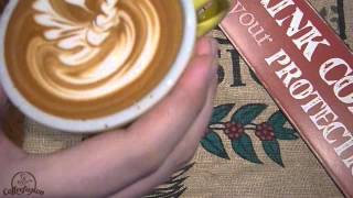 Coffeefusion  Latte Art Compilation 16 [upl. by Nivla]