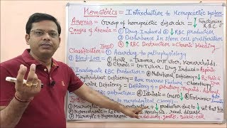 Hematinic Part01 Introduction to Anaemia  Anemia  Anaemia Treatment  खून बढाने वाले दवा [upl. by Schulein]