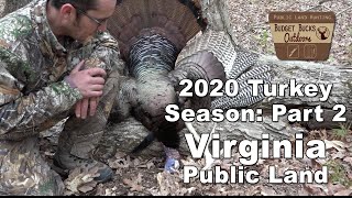 National Forest Bird Down in Virginia Turkey Season 2020 Part 2 [upl. by Enitsud]