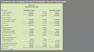 Commonsize Analysis Vertical Analysis Income Statement [upl. by Aicenod944]