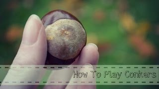 How To Play Conkers [upl. by Birchard]