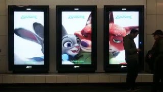 Zootopia Paris métro video 5 [upl. by Crystal]